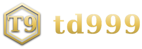 td999 logo